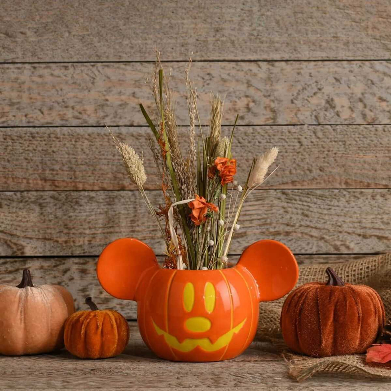 Mickey Mouse Plant Pot 20cm